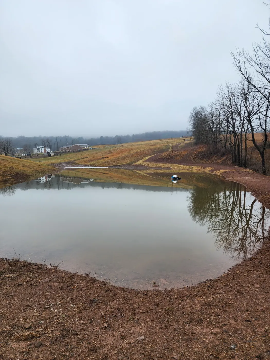Farm pond